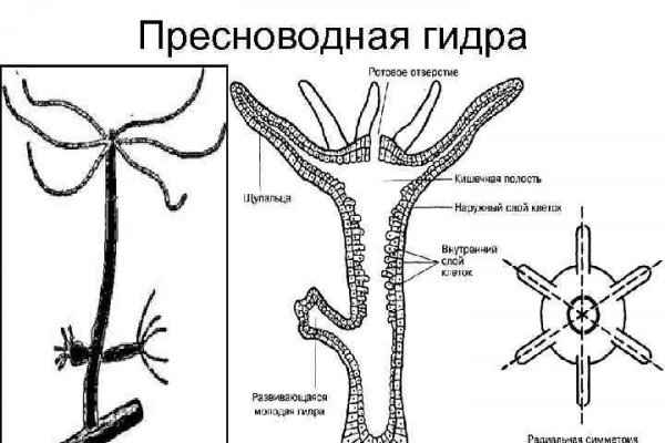 Кракен ссылка рабочая на сегодня