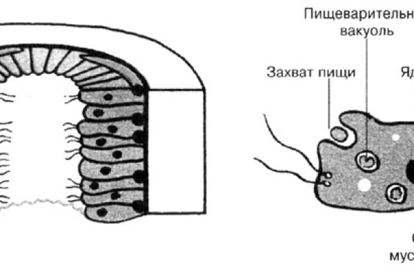 Как зайти на кракен через тор