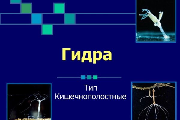 Mega darknet площадка