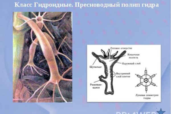 Как купить на меге первый раз