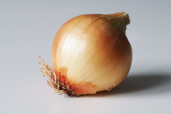 Https megaruzxpnew4af onion tor com