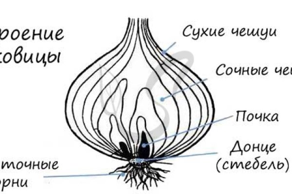 Купить наркотики в москве